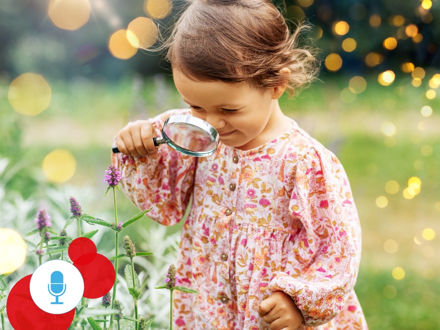 Produktbild zum Expert:innen-Interview "Entdecken und Forschen im Kita-Alltag"